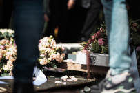 DSC_6743 website